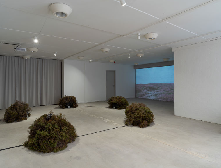 Broom Buzzems II_Oskar Koliander_SKAL Contemporary 2022_foto Oskar Koliander